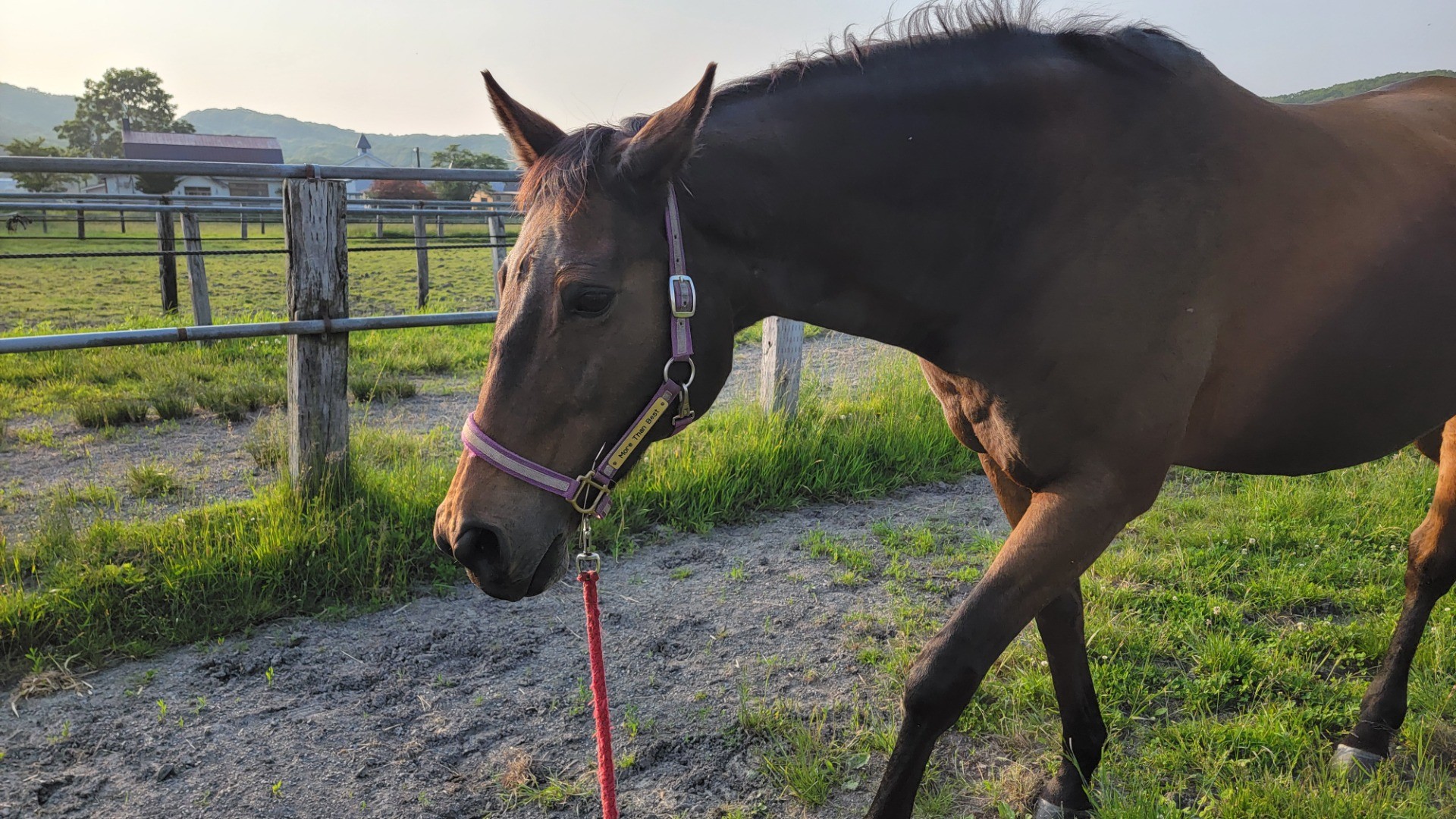 8501656e28e86b2f2fe1172df0f53f51-1760935681.jpg 8501656e28e86b2f2fe1172df0f53f51-1760935681.jpg